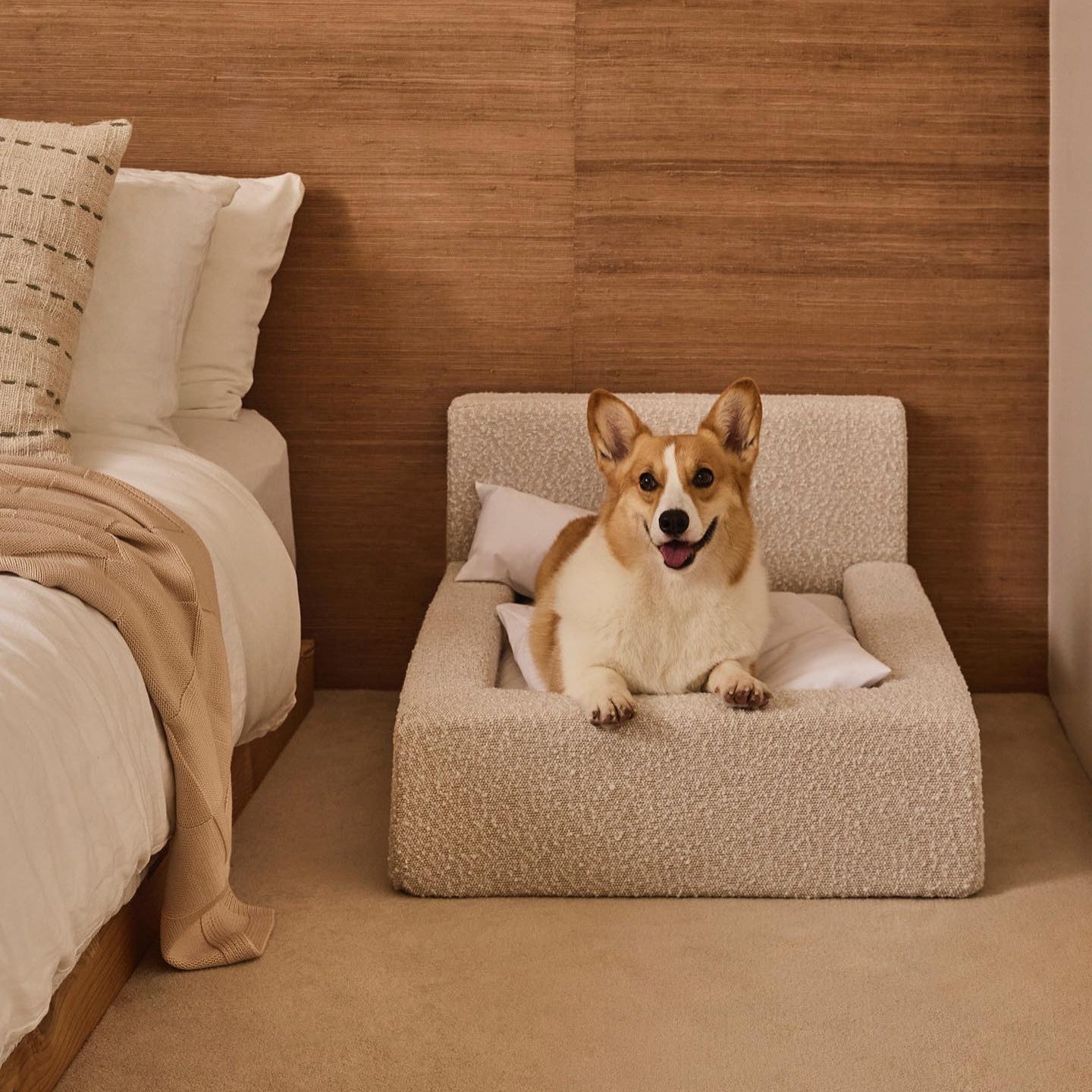 Anti Anxiety Dog Bed